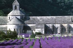 The Abbey of Senanque